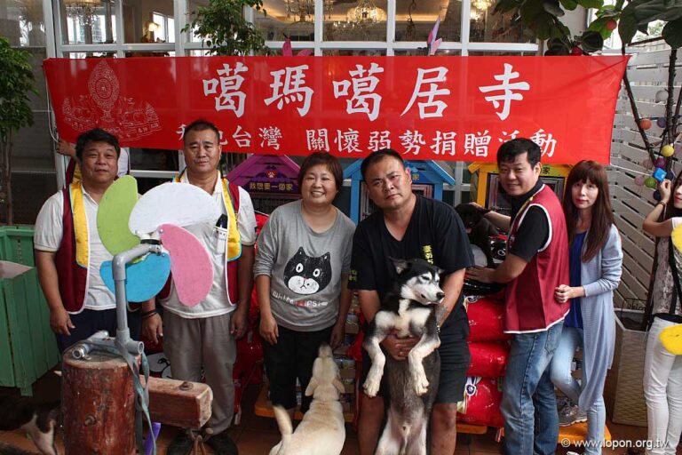 捐贈流浪動物飼料